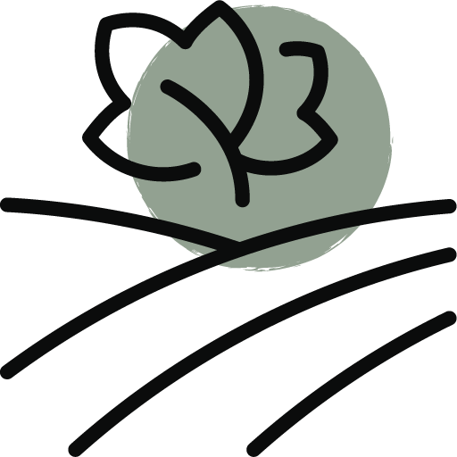 Terroir